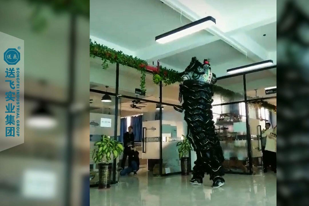 送飛實業集團：正月十五，舞獅鬧元宵 2019